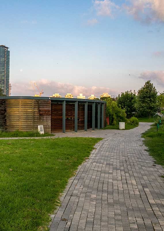 ירוק, נעים - ובחינם