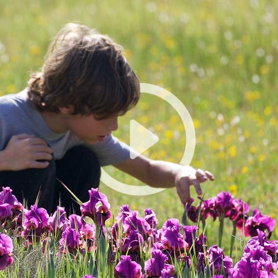 פריחה בשדות ניר אליהו, 2019