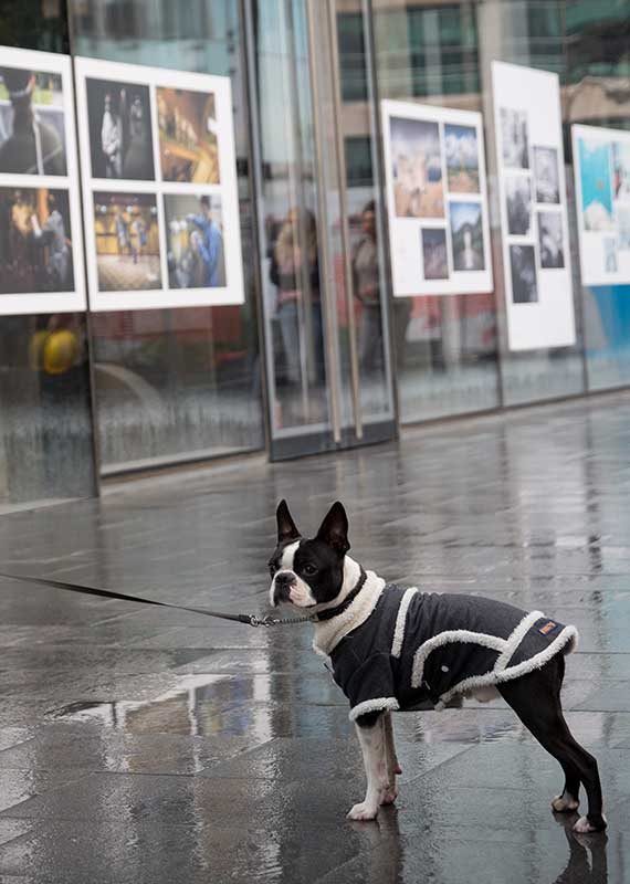 המדרכות התל אביביות, עם הייחודיות השמורה רק להן
