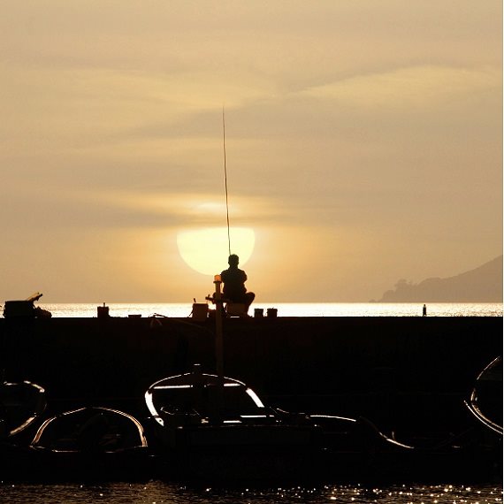 מחאת הדייגים