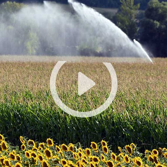 לממטרה אין קשר לכתבה