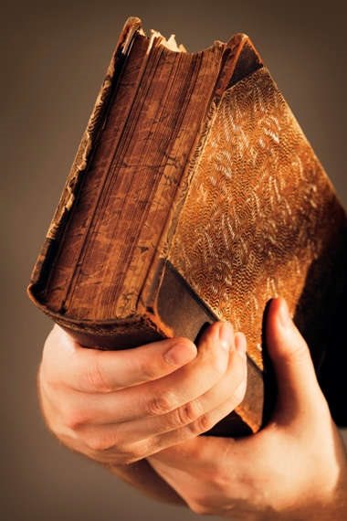 בין מגילת אסתר לגליה עוז