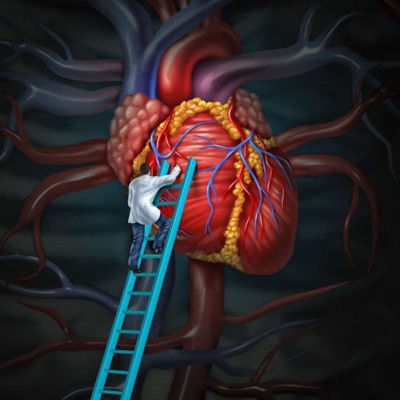 בעקבותיו של הלב