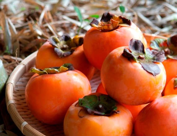 האם אפרסמון גורם לעצירות?