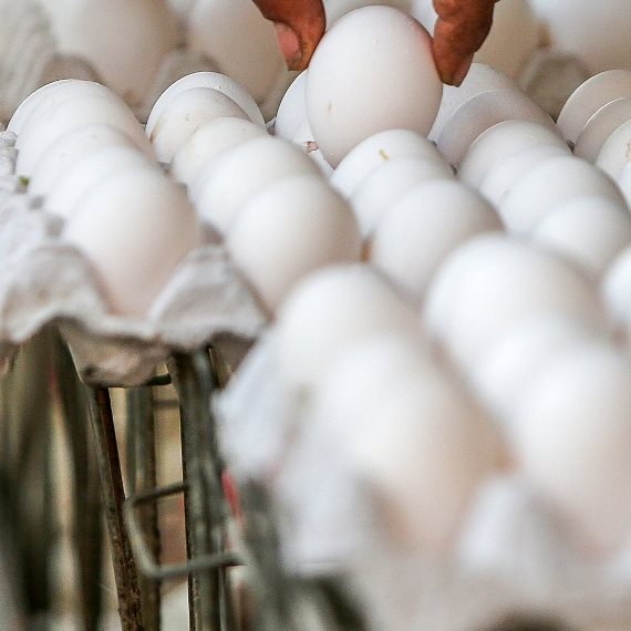 ד"ר מאיה רוזמן