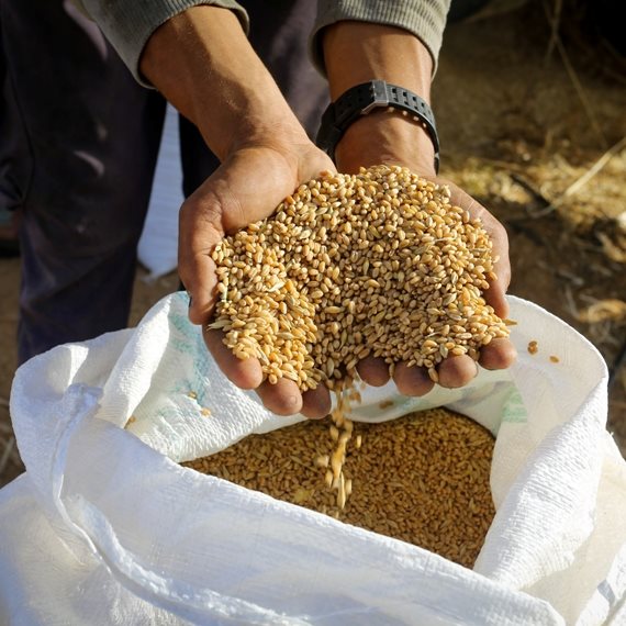 ד"ר רוזמן: "אני לא רואה שיש לדורה יתרונות תזונתיים גדולים"