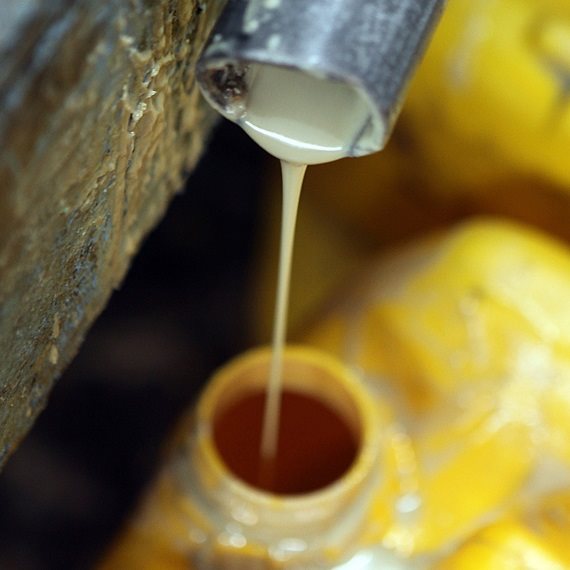 הטיפ השבועי של ד"ר מאיה רוזמן