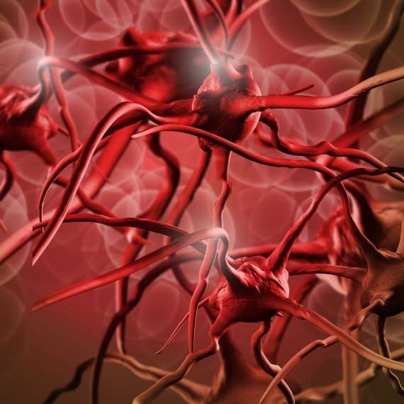 מאזינה מודאגת: "הכולסטרול שלי רק עולה"