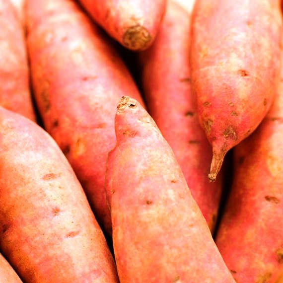 פינת המיתוסים