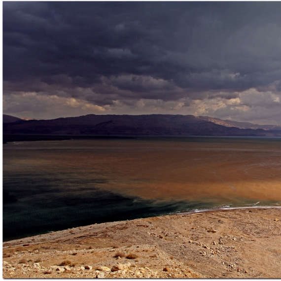 המדינה שלנו ערומה מאהבה