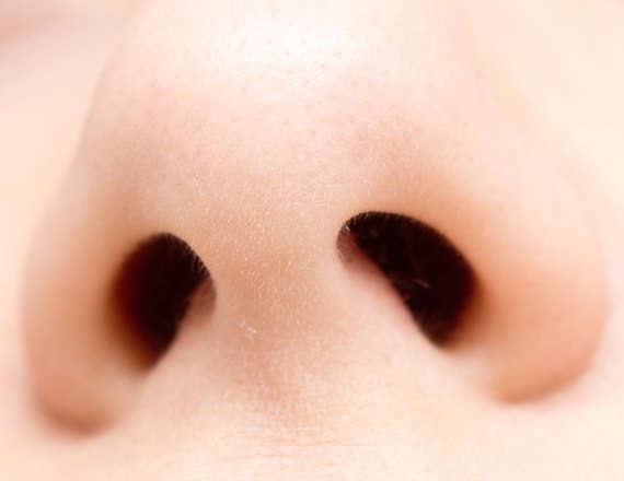 על טעם ועל ריח