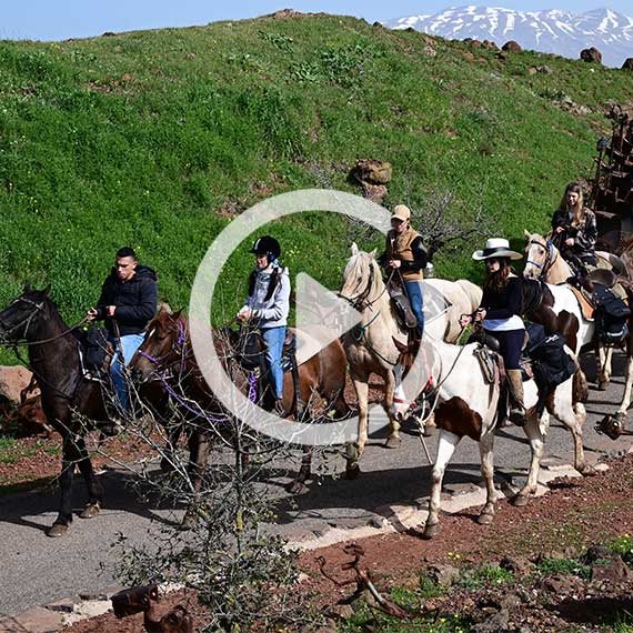 רוכבים ברמת הגולן