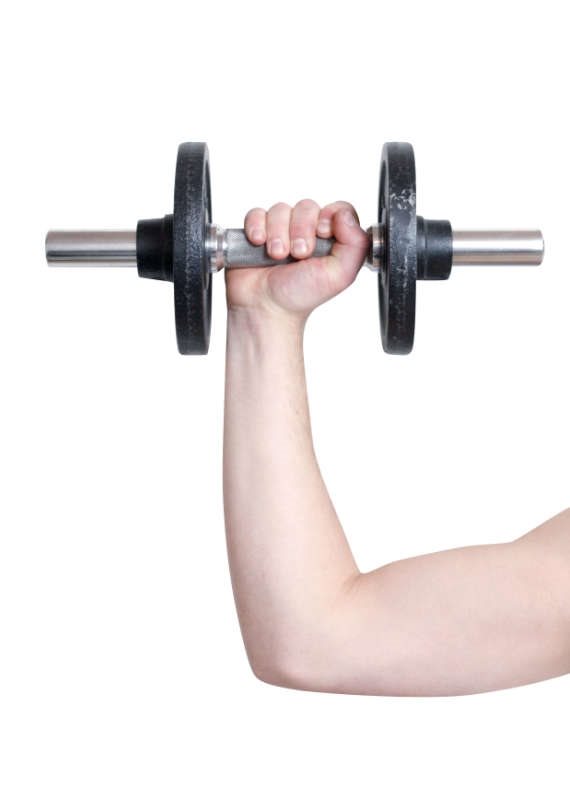 תוספי תזונה להגדלת מסת שריר