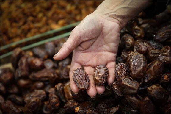 'בצל כפות תמר', אילוסטרציה