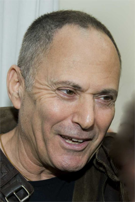 ניצב בדימוס אריה עמית