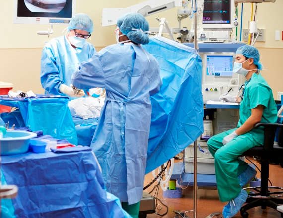 השתלת אברי חזירים בבני אדם