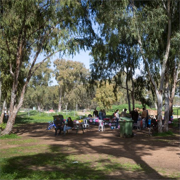 פארק הירקון