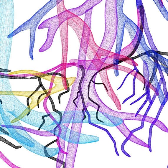 תפקידה של בלוטת התריס