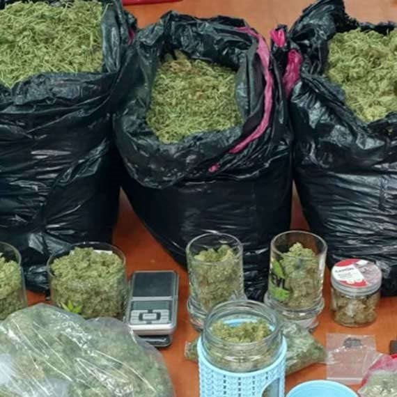 קנאביס שהוחרם במבצע משטרתי (ארכיון)