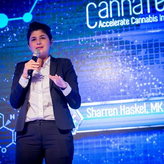 ח"כ שרן השכל