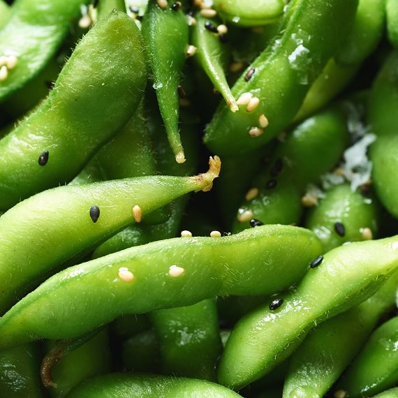 נפלאות האדממה