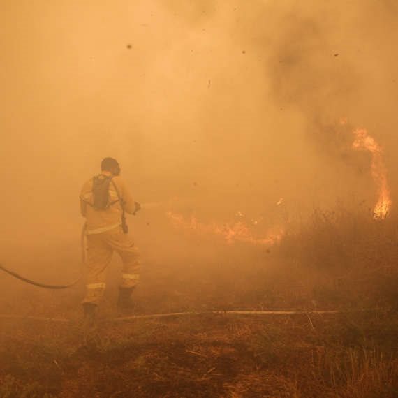 שריפה - צילום ארכיון