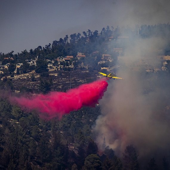 השרפות בהרי ירושלים