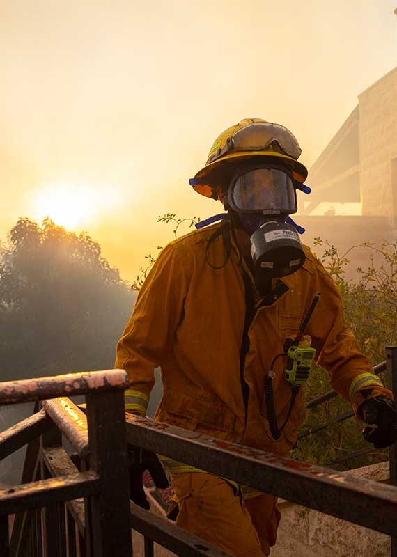 השרפות בהרי ירושלים