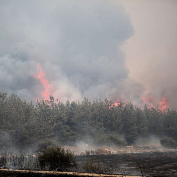 שריפה באזור ירושלים (ארכיון)