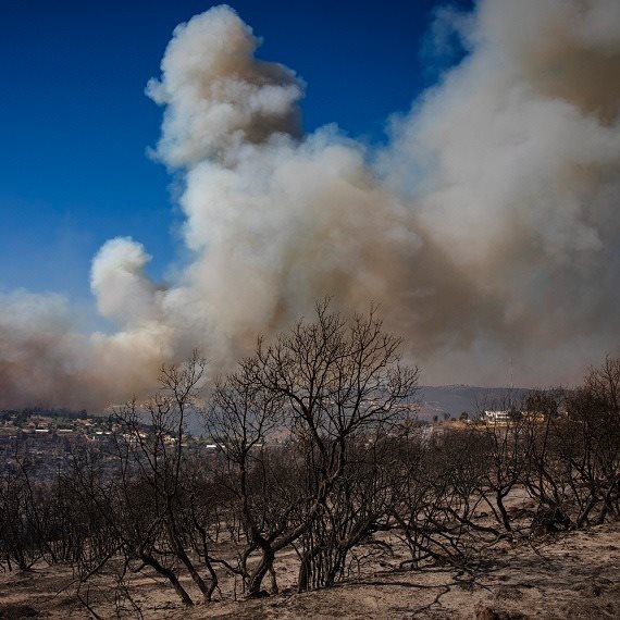 השריפות בהרי ירושלים