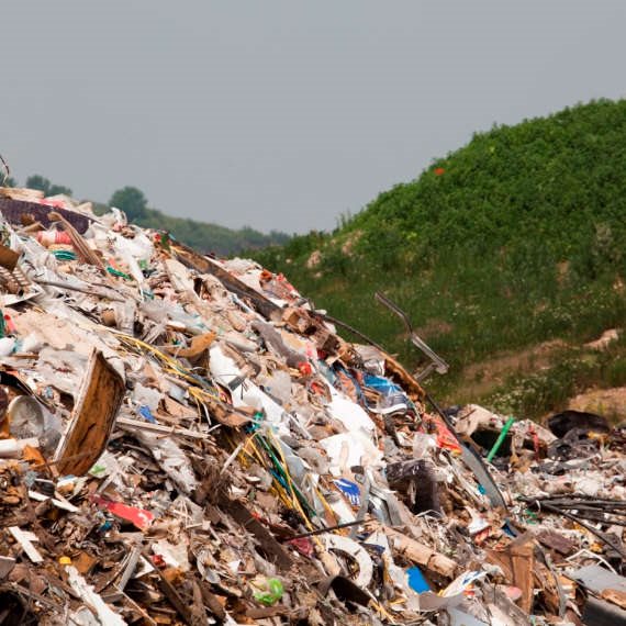 זבל - צילום אילוסטרציה