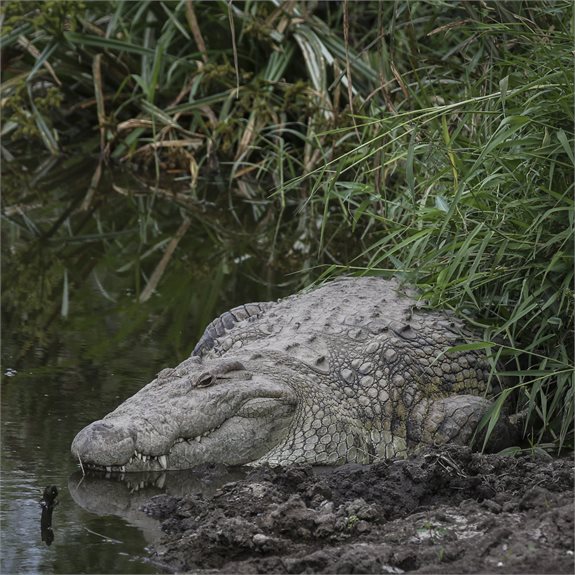 למצולם אין קשר לנאמר