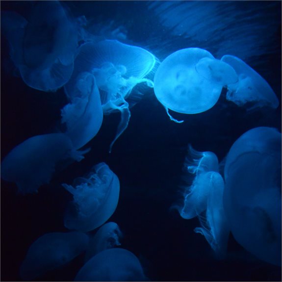 למצולם אין קשר לנאמר