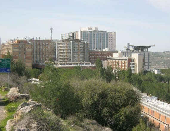 בית החולים הדסה עין כרם