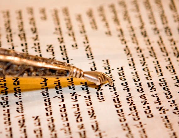 למצולם אין קשר לנאמר