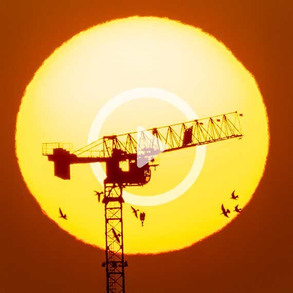 ירושלים בשקיעה, החודש