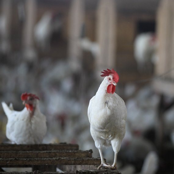 צילום ארכיון