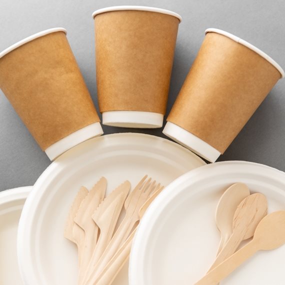 כלים חד פעמיים