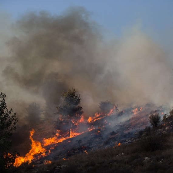 הושגה שליטה על השריפה ביער שוהם