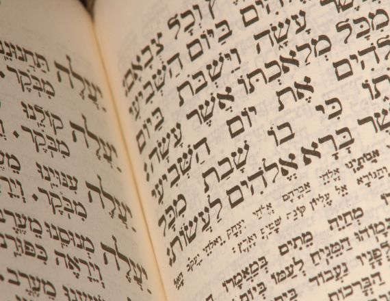 פרשת השבוע: וישלח