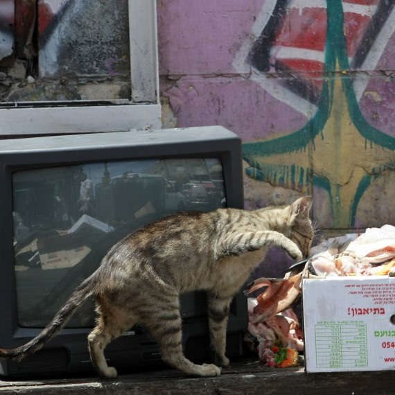 "רפואת רחוב היא הגשר בין העולמות"