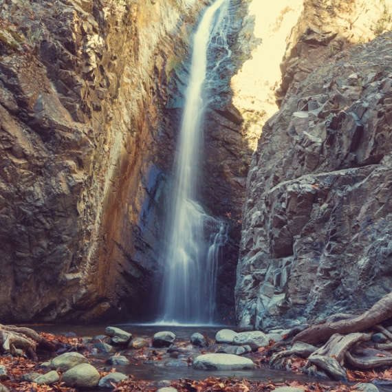 מה זה האקלים האנושי?