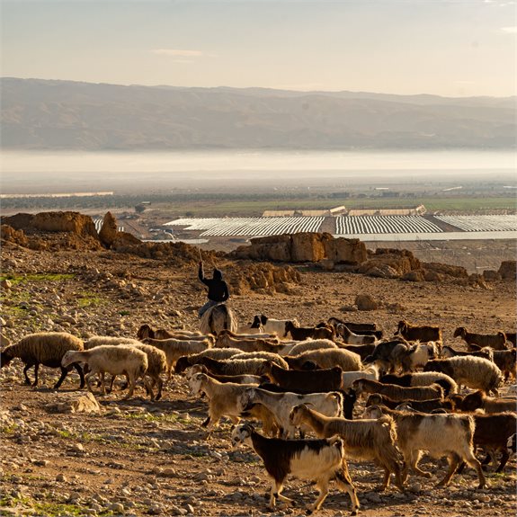 ירדן - צילום ארכיון