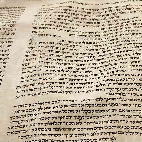 פרשת השבוע עם הרב אברהם הכהן